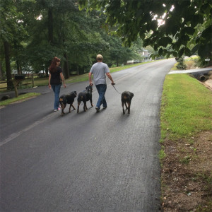 Lenny and Stephanie Zannin Taking their dogs on a Pack Walk