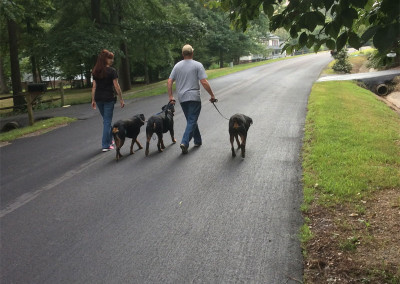 Lenny and Stephanie Zannin Taking their dogs on a Pack Walk