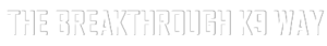 The Breakthrough K9 Way Header