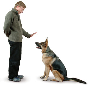 Man Telling Dog to Sit