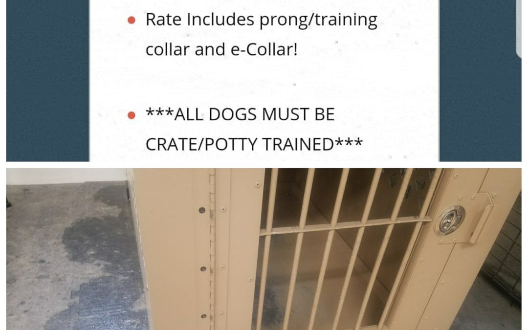 Crate Training For Dog Training
