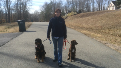 Aggressive Dog Training in Richmond, VA by Breakthrough K9 Training