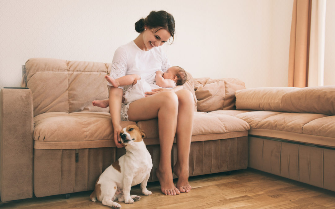 Introducing your dog to your baby