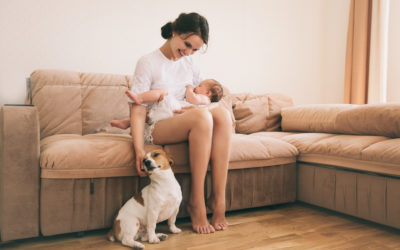 Safety Tips for Introducing your Dog to your new Baby