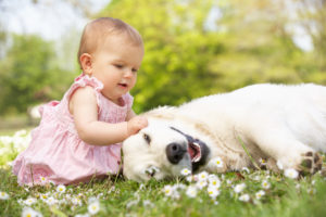 Safety Tips for Introducing your Dog to your new Baby